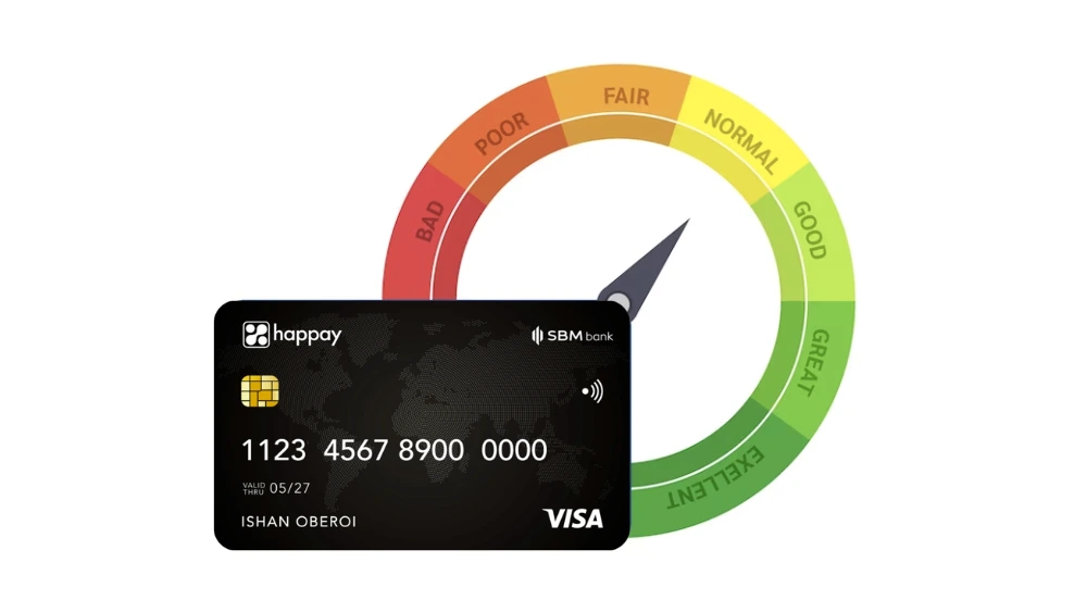 Corporate Credit Card Limit How Is It Decided How To Expand It 