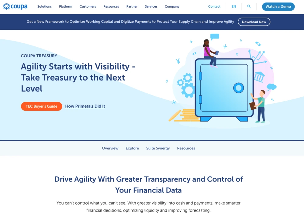 treasury management system coupa