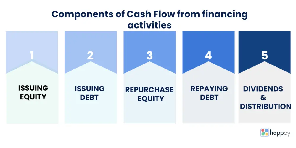 components of cash flow from financing activities