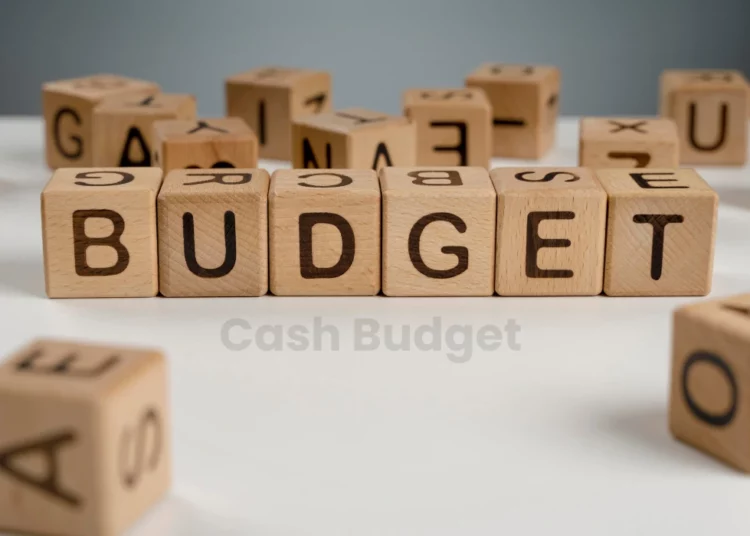 cash budget